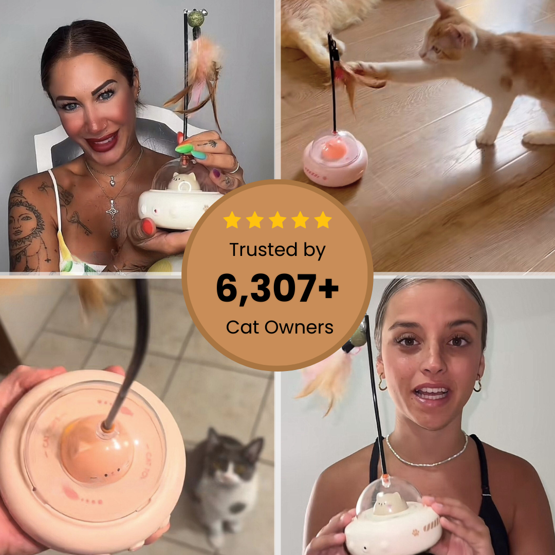 Kittensy™ Automatic Laser Toy with Feather