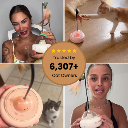 Kittensy™ Automatic Laser Toy with Feather